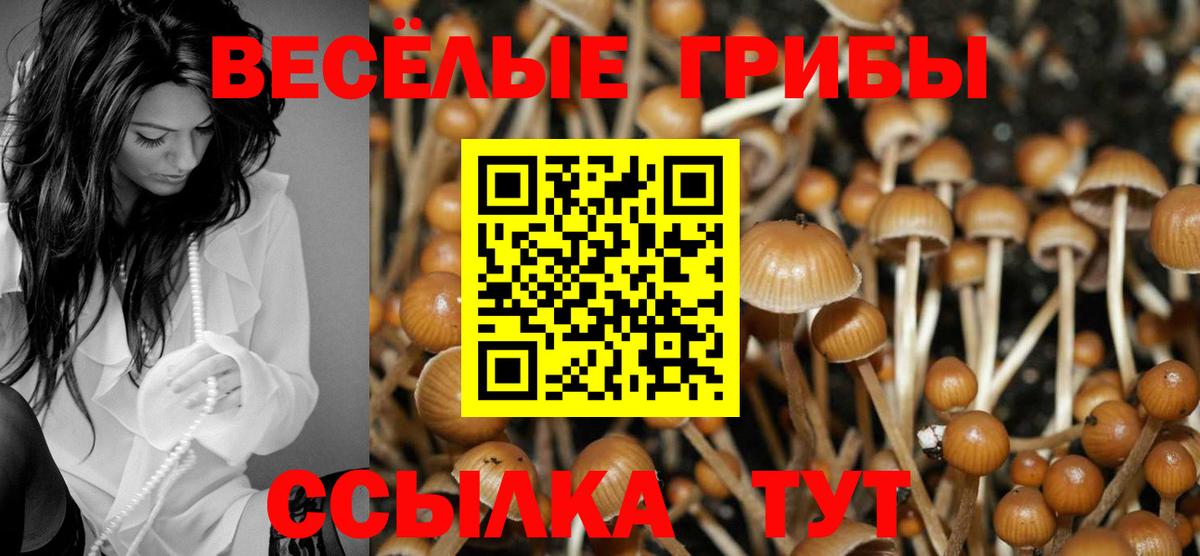 Галлюциногенные грибы мухоморы Чернушка