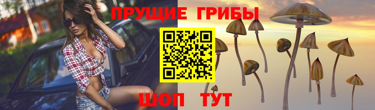 Псилоцибиновые грибы Magic Shrooms  Вход с VPN  Чернушка 